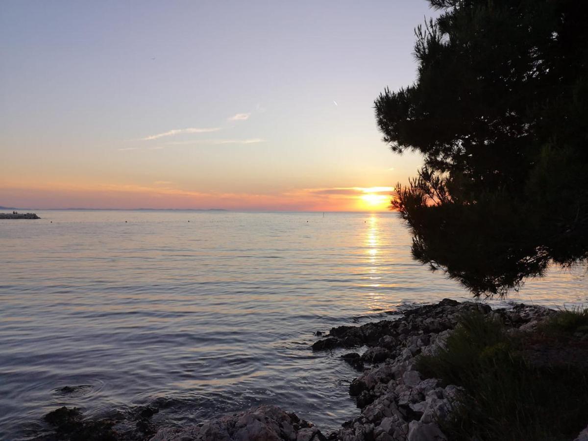 Apartmani Zara Zaton  Buitenkant foto